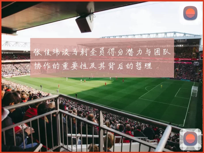 张佳玮谈马刺全员得分潜力与团队协作的重要性及其背后的哲理